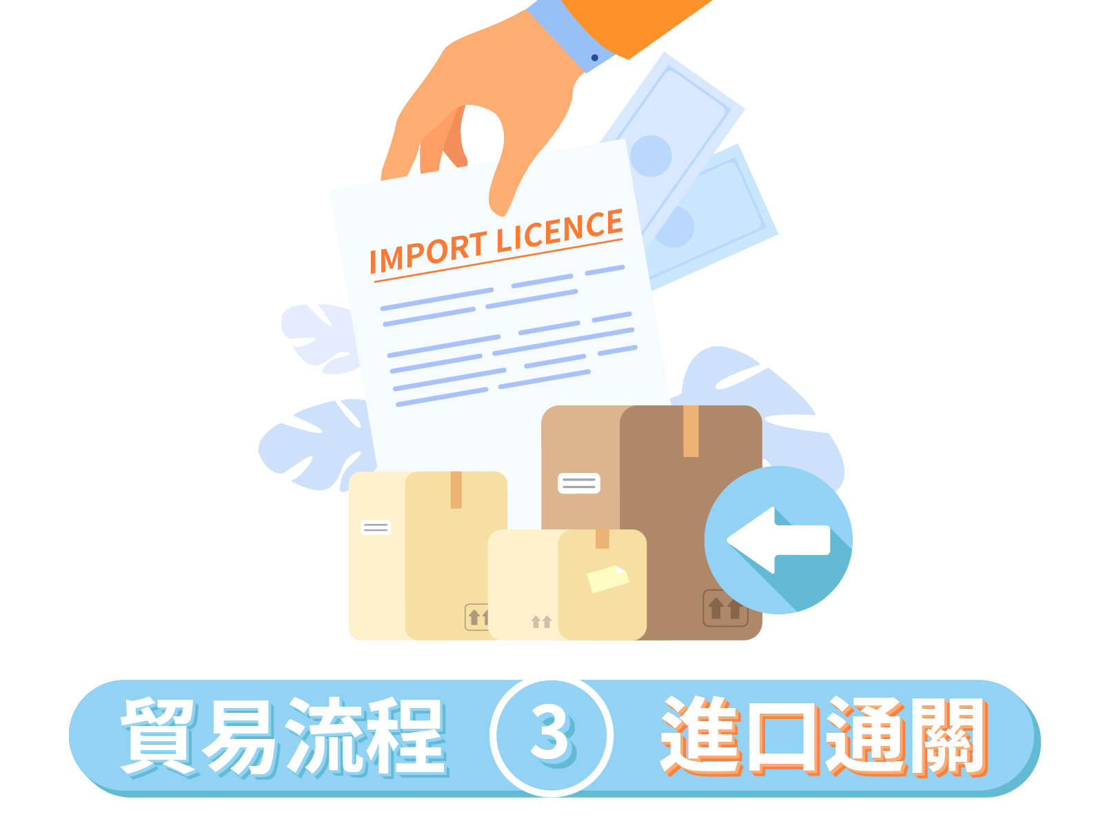 import-licence